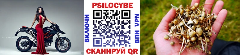 наркота  Тейково  Псилоцибиновые грибы мицелий 